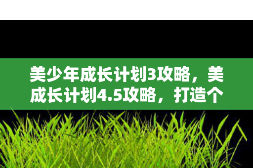 美少年成长计划3攻略，美成长计划4.5攻略，打造个人魅力与职业发展的双赢之路