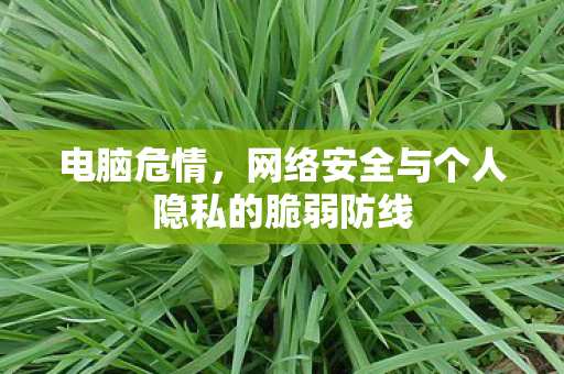 电脑危情，网络安全与个人隐私的脆弱防线