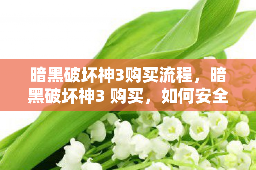 暗黑破坏神3购买流程，暗黑破坏神3 购买，如何安全、合法地获取游戏