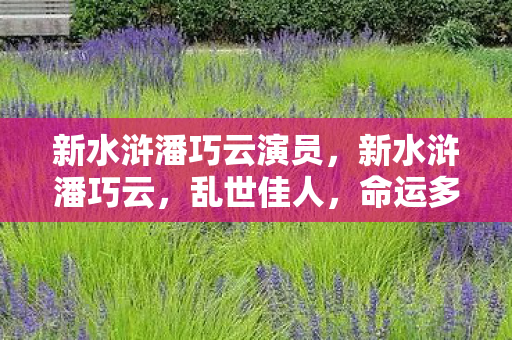 新水浒潘巧云演员，新水浒潘巧云，乱世佳人，命运多舛