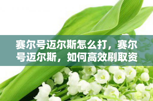 赛尔号迈尔斯怎么打，赛尔号迈尔斯，如何高效刷取资源？