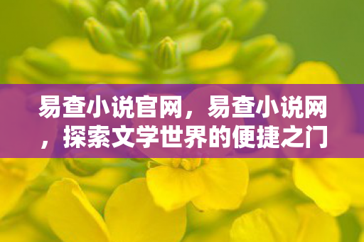 易查小说官网，易查小说网，探索文学世界的便捷之门
