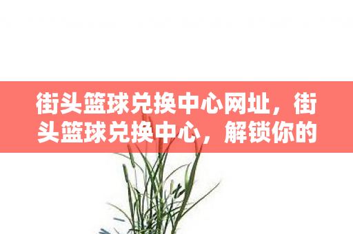 街头篮球兑换中心网址，街头篮球兑换中心，解锁你的篮球梦想