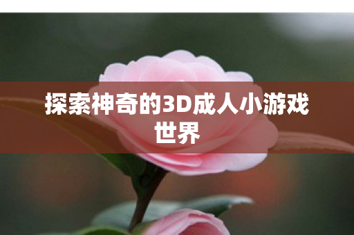 探索神奇的3D成人小游戏世界