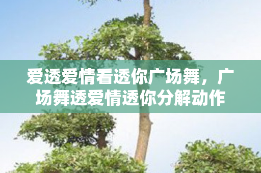 爱透爱情看透你广场舞，广场舞透爱情透你分解动作