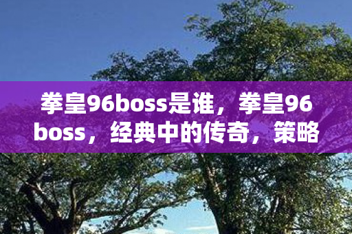 拳皇96boss是谁，拳皇96boss，经典中的传奇，策略与操作的双重挑战
