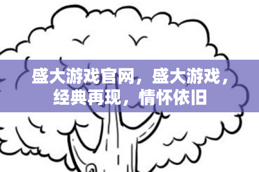 盛大游戏官网，盛大游戏，经典再现，情怀依旧