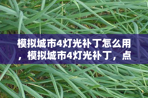 模拟城市4灯光补丁怎么用，模拟城市4灯光补丁，点亮你的城市夜景