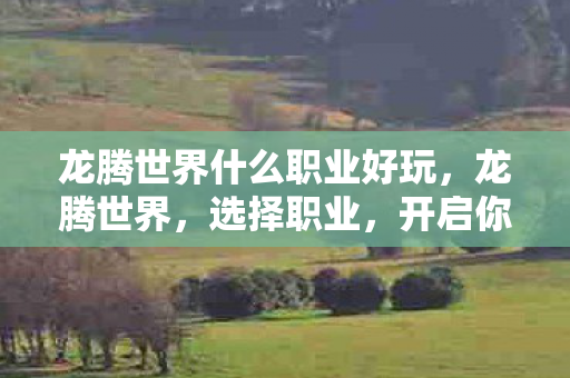 龙腾世界什么职业好玩，龙腾世界，选择职业，开启你的冒险之旅