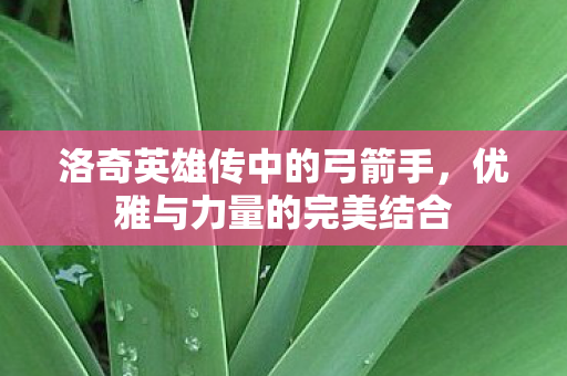 洛奇英雄传中的弓箭手，优雅与力量的完美结合