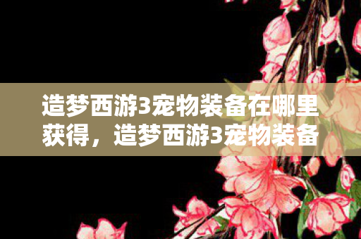 造梦西游3宠物装备在哪里获得，造梦西游3宠物装备，打造最强萌宠的必备神器