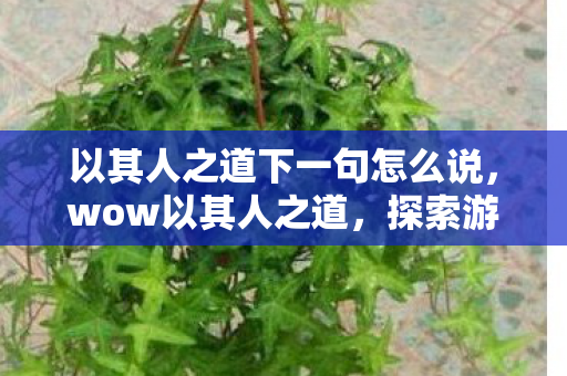 以其人之道下一句怎么说，wow以其人之道，探索游戏世界的正版之道