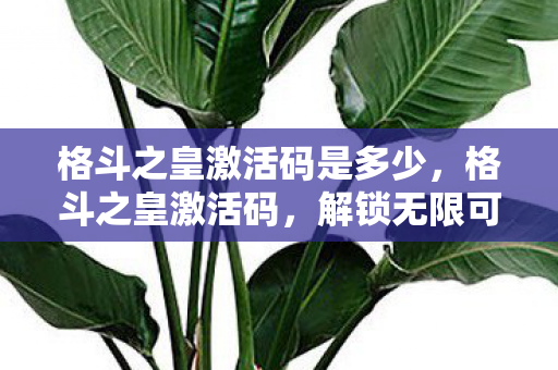 格斗之皇激活码是多少，格斗之皇激活码，解锁无限可能的神秘钥匙