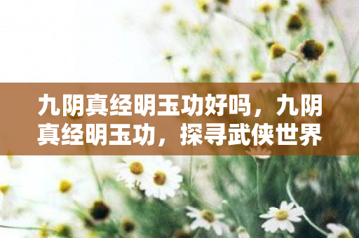 九阴真经明玉功好吗，九阴真经明玉功，探寻武侠世界的内功奥秘