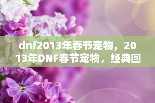 dnf2013年春节宠物，2013年DNF春节宠物，经典回忆与独特魅力