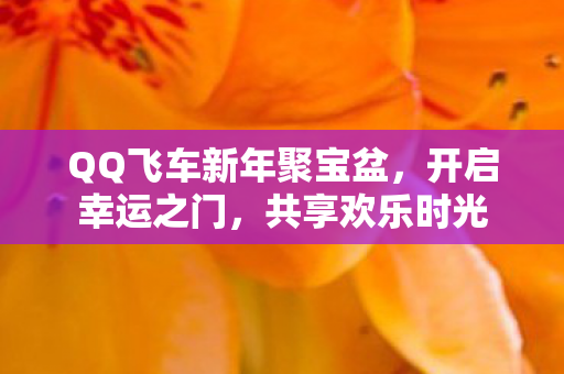 QQ飞车新年聚宝盆，开启幸运之门，共享欢乐时光