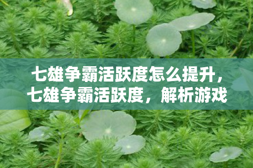 七雄争霸活跃度怎么提升，七雄争霸活跃度，解析游戏热度背后的原因