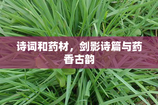 诗词和药材，剑影诗篇与药香古韵