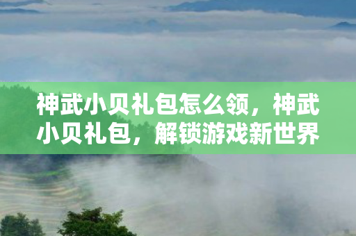 神武小贝礼包怎么领，神武小贝礼包，解锁游戏新世界的钥匙