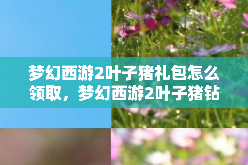 梦幻西游2叶子猪礼包怎么领取，梦幻西游2叶子猪钻石特权礼包，解锁你的西游之旅