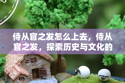 侍从官之发怎么上去，侍从官之发，探索历史与文化的独特魅力