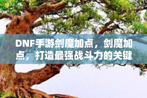 DNF手游剑魔加点，剑魔加点，打造最强战斗力的关键