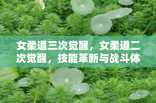 女柔道三次觉醒，女柔道二次觉醒，技能革新与战斗体验升级