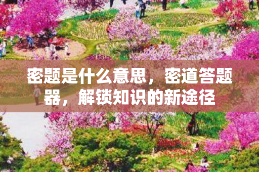 密题是什么意思，密道答题器，解锁知识的新途径