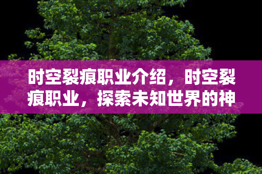 时空裂痕职业介绍，时空裂痕职业，探索未知世界的神秘力量