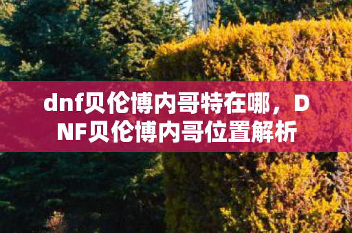 dnf贝伦博内哥特在哪，DNF贝伦博内哥位置解析