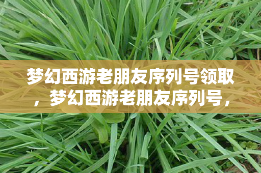 梦幻西游老朋友序列号领取，梦幻西游老朋友序列号，重温经典，再续前缘