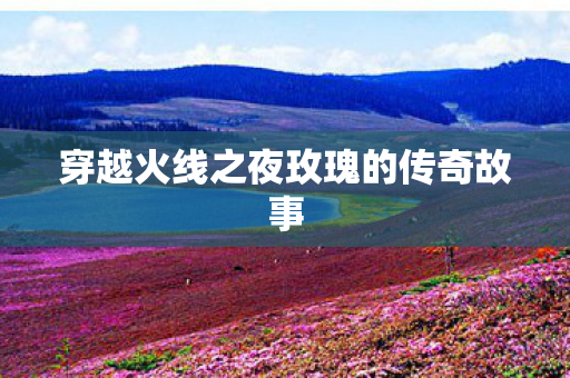 穿越火线之夜玫瑰的传奇故事