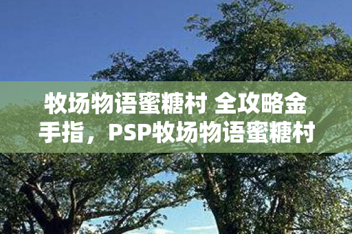 牧场物语蜜糖村 全攻略金手指，PSP牧场物语蜜糖村攻略，打造理想村庄的全方位指南