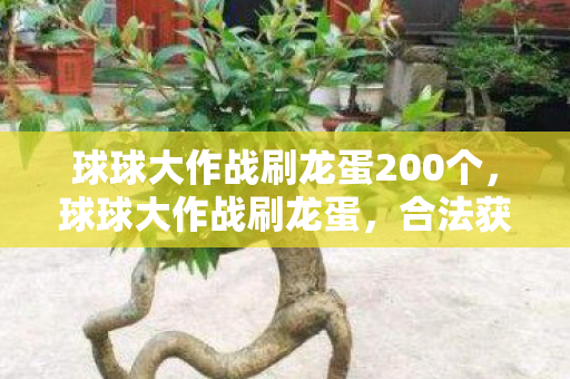 球球大作战刷龙蛋200个，球球大作战刷龙蛋，合法获取资源的新途径