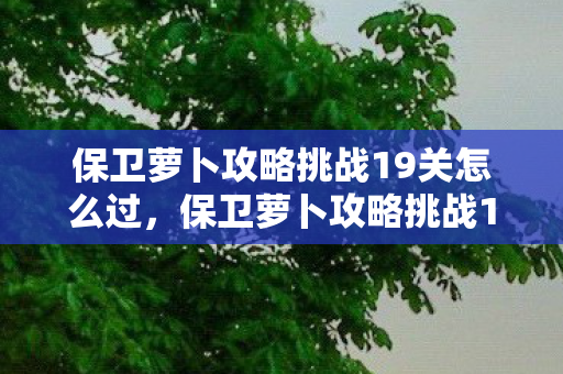 保卫萝卜攻略挑战19关怎么过，保卫萝卜攻略挑战19，策略与技巧的深度解析