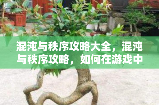 混沌与秩序攻略大全，混沌与秩序攻略，如何在游戏中寻找平衡与胜利