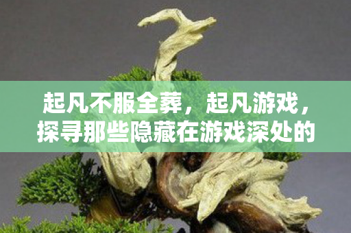 起凡不服全葬，起凡游戏，探寻那些隐藏在游戏深处的BUG