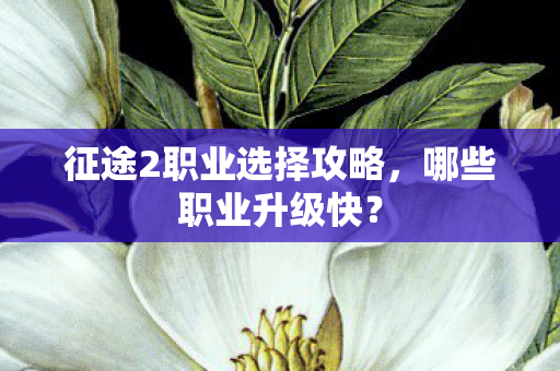 征途2职业选择攻略，哪些职业升级快？