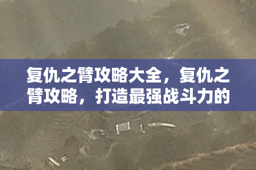 复仇之臂攻略大全，复仇之臂攻略，打造最强战斗力的全面指南
