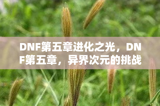 DNF第五章进化之光，DNF第五章，异界次元的挑战与机遇