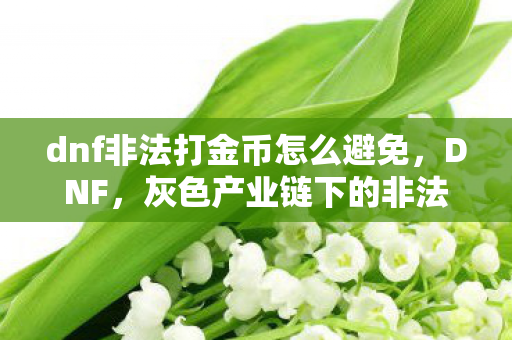 dnf非法打金币怎么避免，DNF，灰色产业链下的非法行为及其影响