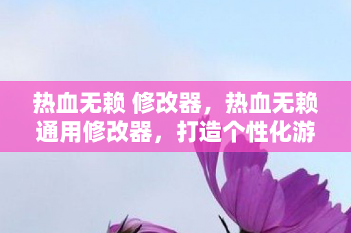 热血无赖 修改器，热血无赖通用修改器，打造个性化游戏体验