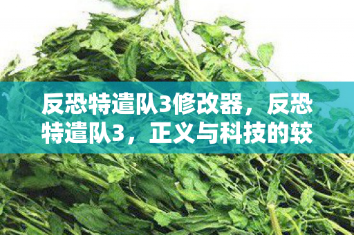 反恐特遣队3修改器，反恐特遣队3，正义与科技的较量