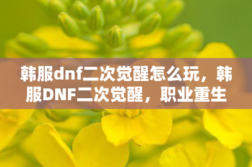 韩服dnf二次觉醒怎么玩，韩服DNF二次觉醒，职业重生与游戏新篇章