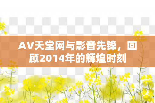 AV天堂网与影音先锋，回顾2014年的辉煌时刻