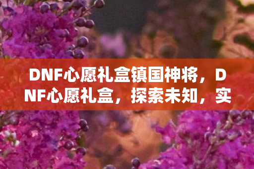DNF心愿礼盒镇国神将，DNF心愿礼盒，探索未知，实现梦想的奇妙之旅