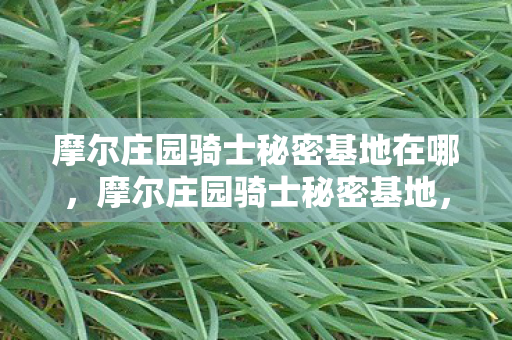 摩尔庄园骑士秘密基地在哪，摩尔庄园骑士秘密基地，探索未知的奇幻之旅