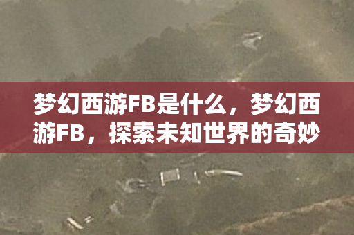 梦幻西游FB是什么，梦幻西游FB，探索未知世界的奇妙之旅