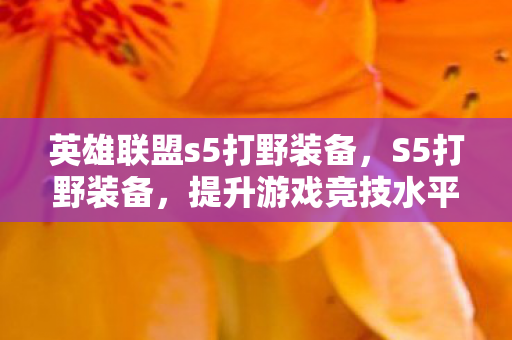 英雄联盟s5打野装备，S5打野装备，提升游戏竞技水平的关键