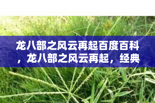 龙八部之风云再起百度百科，龙八部之风云再起，经典重燃，江湖再续